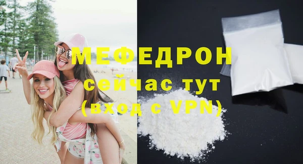 индика Богородск