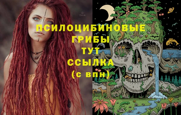 шишки Богданович