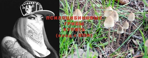индика Богородск