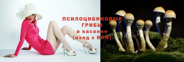 индика Богородск