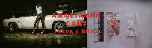 индика Богородск