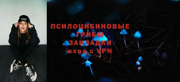 индика Богородск