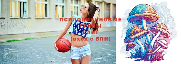 шишки Богданович