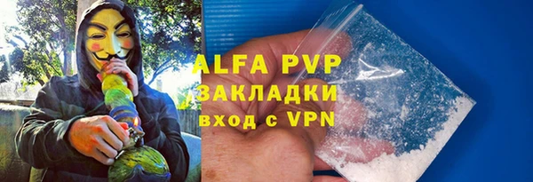 индика Богородск