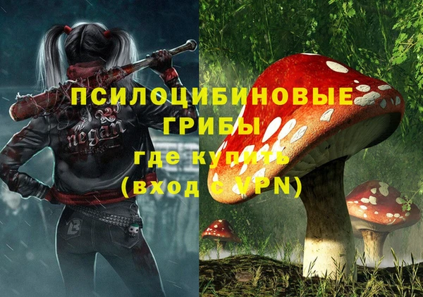 индика Богородск