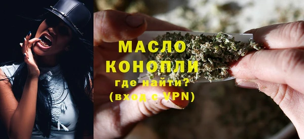 индика Богородск
