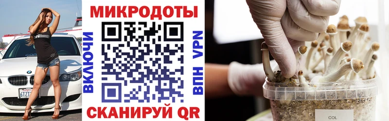 Галлюциногенные грибы ЛСД  наркота  Малая Вишера 